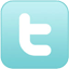 Twitter Icon
